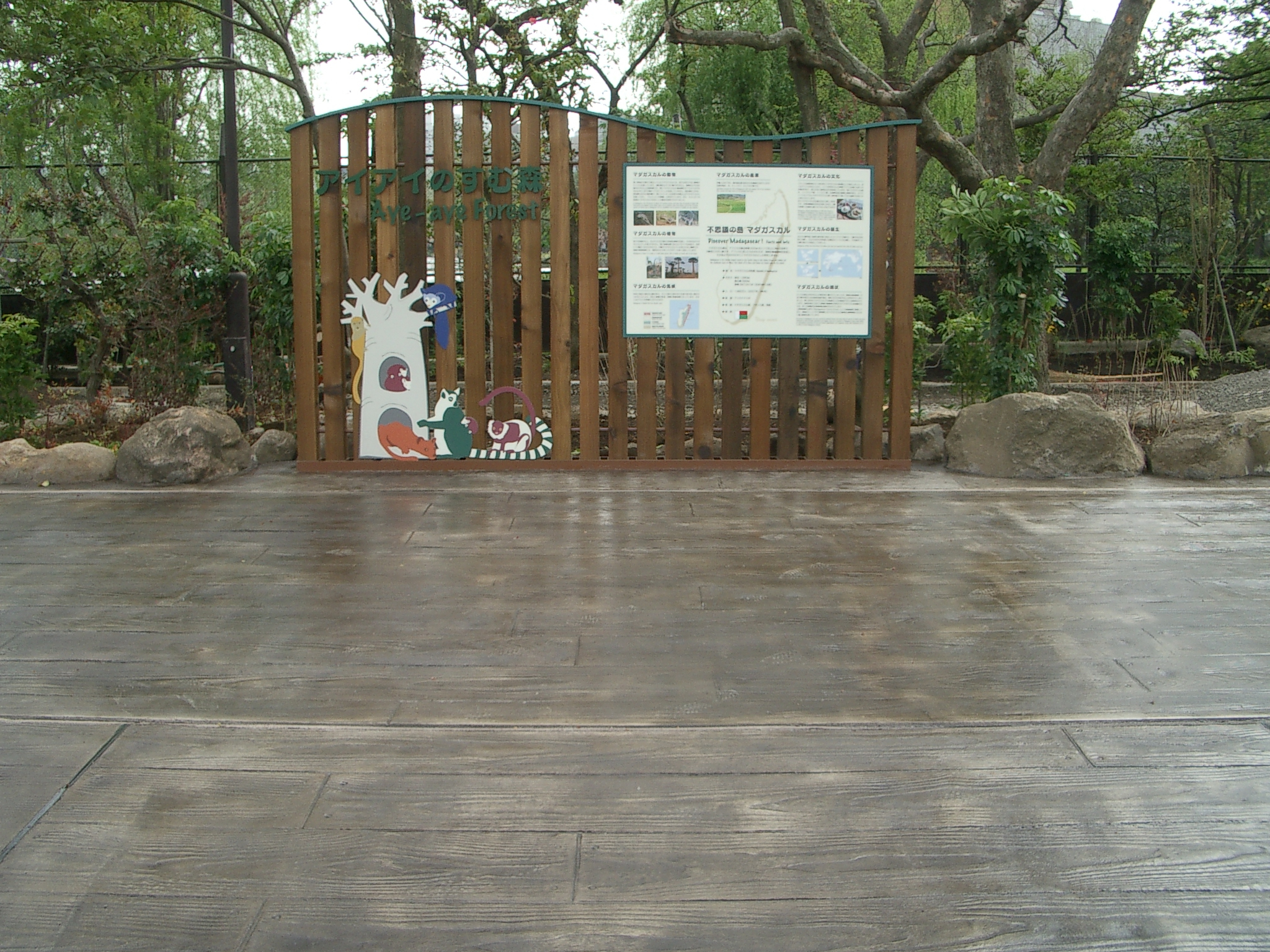 上野動物園　マダガスカル館